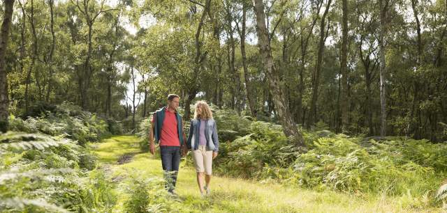 Cannock Chase Forest couple walking through woods