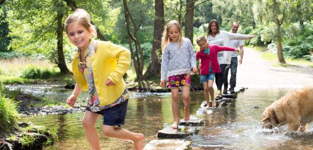 Cannock Chase Family Days Out family crosses stream stepping stones
