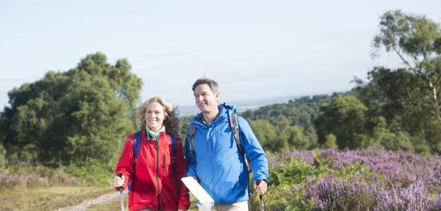 Cannock Chase heathland Outdoors walking couple
