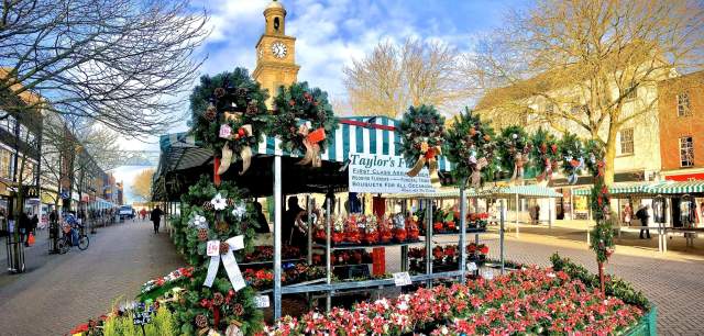 colourful plant stall