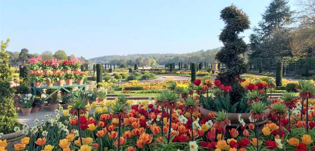 Spring Bulb Festival display