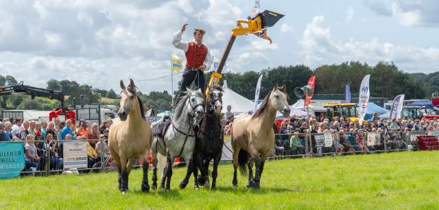 man with four horses acrobatic horse riding display in the main arena at Leek Show