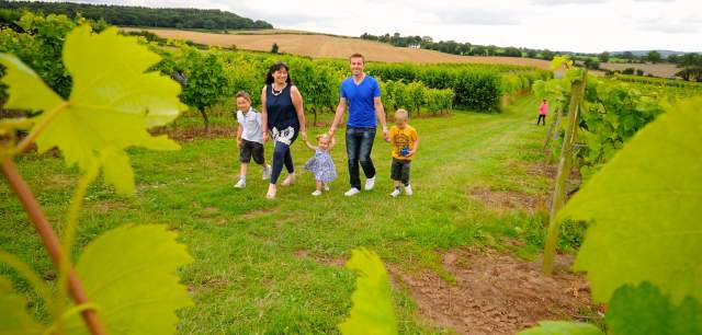 Family  walking  through  vineyard  field  holding  hands