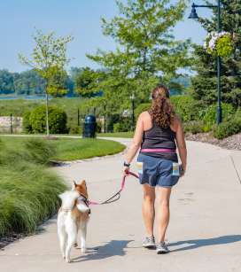 Three Oaks Dog Walk