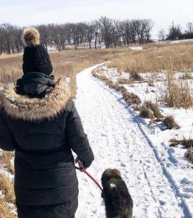 Copy of Winter Hiking with Dogs
