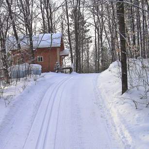 cabin in woods