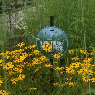 Wildflowers at Grayling Fish Hatchery