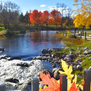 city park in the fall