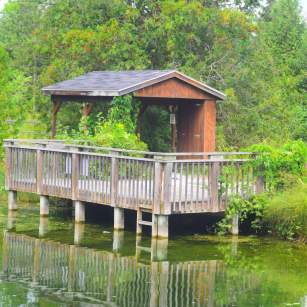 Kids Fishing Pond, Fish Hatchery
