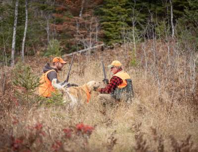 Grouse Hunting