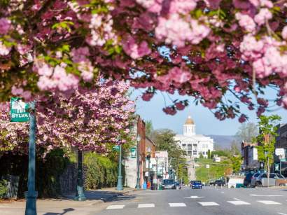 sylva