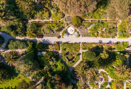 A Potted History of Tresco Island