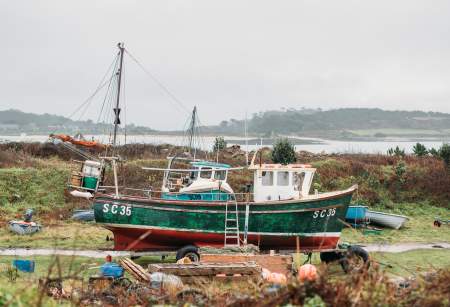 From Sea to Shore: The Island Fish Story