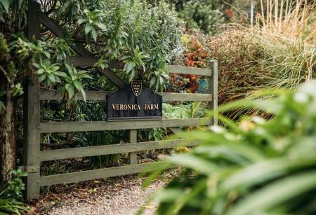 From Flowers to Fudge: A Sweet Bryher Story