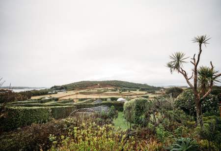 From Pandemic to Peppers: A Farm’s Journey to Resilience on Bryher