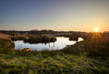 A Birdlife Haven