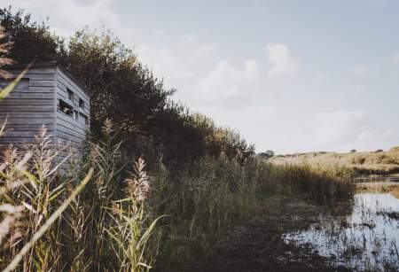 Birding on the Isles of Scilly: Your Guide to an Unforgettable Autumn Escape