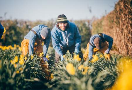 Growers & Producers