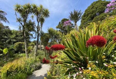 Tresco Abbey Garden