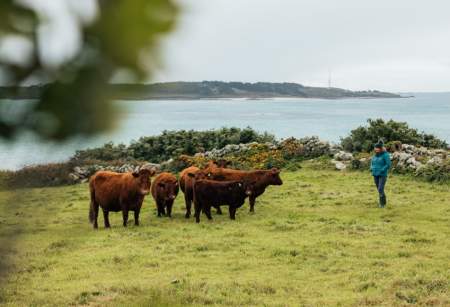 One Islander's Path to a Sustainable Living