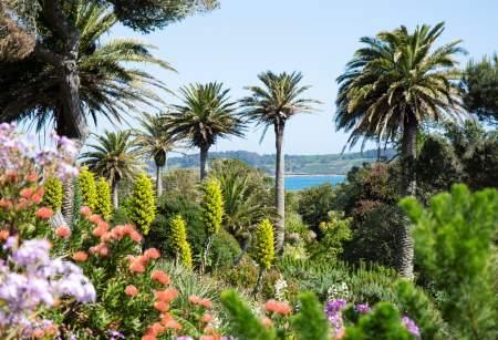 Tresco Abbey Garden