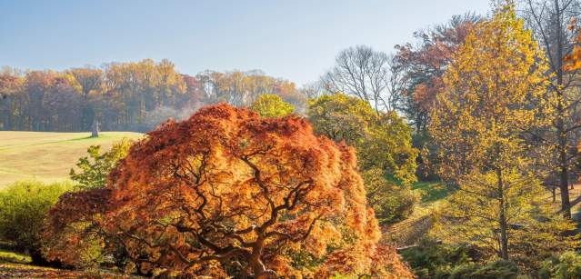 A view of fall trees from Winterthur Museum in Wilmington, DE during fall.