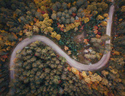 Winding Fall Road