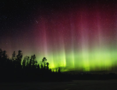 Photo by Michelle Wild