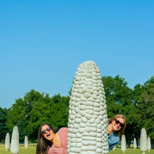 field of corn