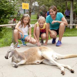 A mother and two daughters croutching near a kangaroo at the Columbus Zoo and Aquarium.
