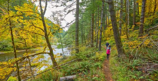 Fall Foliage Road Trips