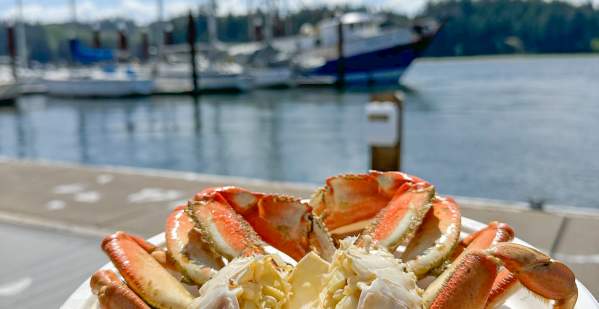 Guide to Dungeness Crab on the Oregon Coast