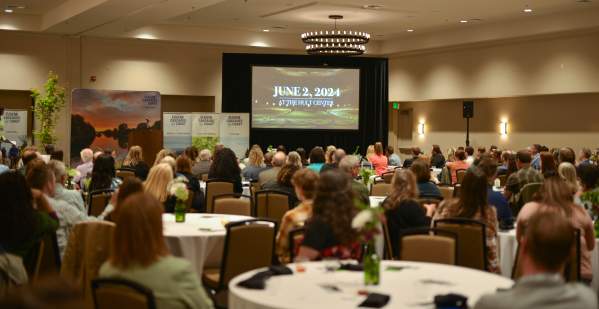 Heidi Albertson Joins Conventions Team