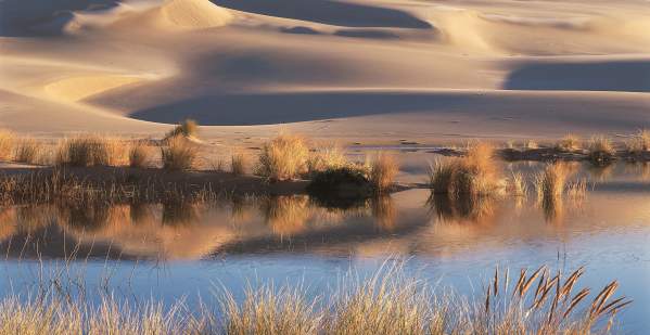 Four Ways to Explore Oregon's Sand Dunes
