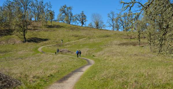 Buford Park & Mt. Pisgah Hiking Trails