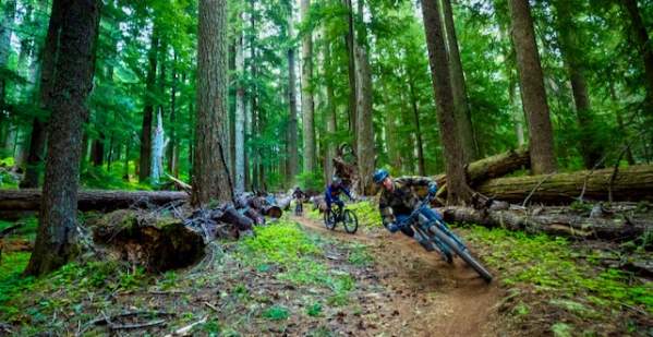 Mountain Bike Shuttles in Oakridge & Westfir