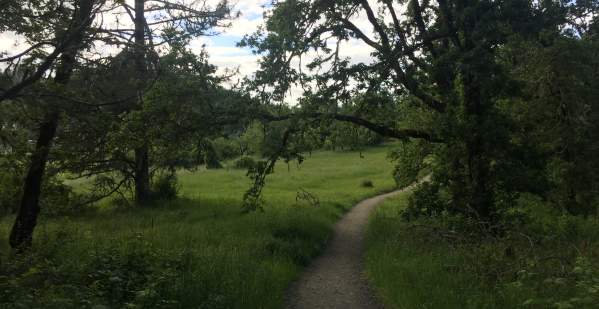 Ridgeline Trail System