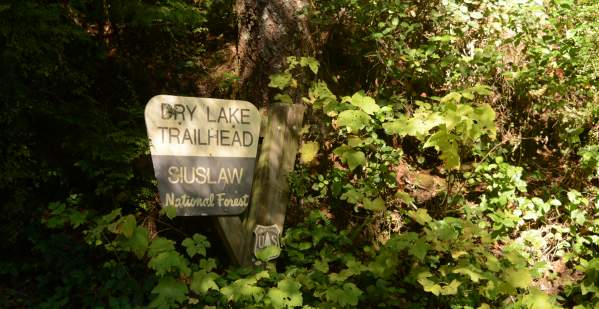 Siuslaw National Forest