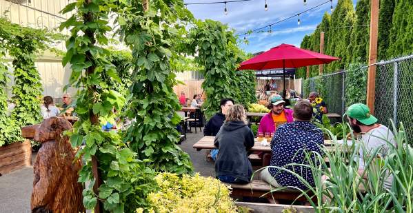 Viking Brewing Company