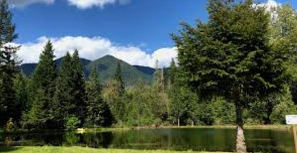 The McKenzie Resort