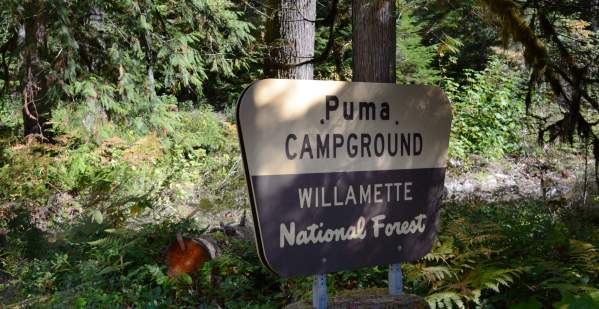 Puma Campground