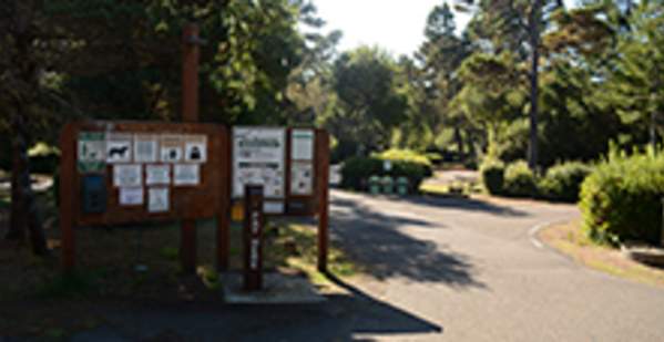 Siltcoos Recreation Area