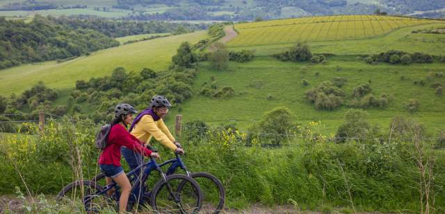 A man and woman riding mountain bikes along a track, on the South Downs