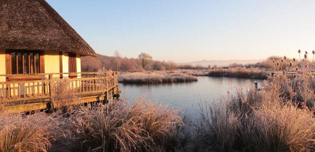 A frosty morning at Arundel Wetland Centre with lake and thatched house in view