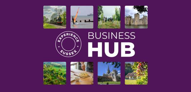 biz hub header