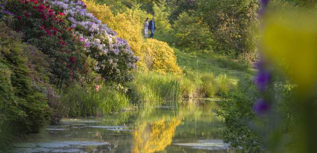 A lake surrounded by colourful spring shrubs, with a couple walking along the bank at Leonardslee Gardens, Sussex