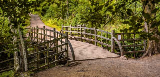 Pooh sticks bridge in Ashdown forest - a wooden bridge over a small stream