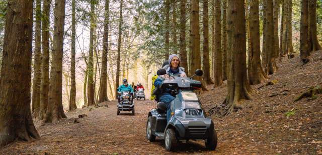 Group on mobility scooters exploring the forest in the South Downs National Park