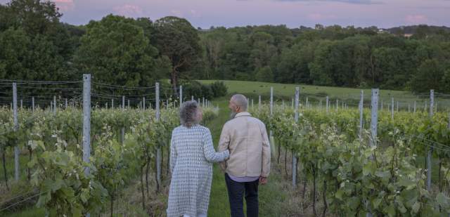 A couple walk in the vines at sunset at Tillingham vineyard, Sussex