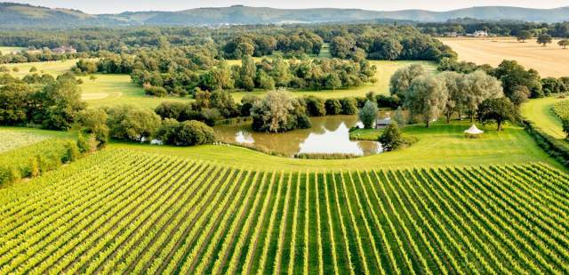 Albourne Vineyard